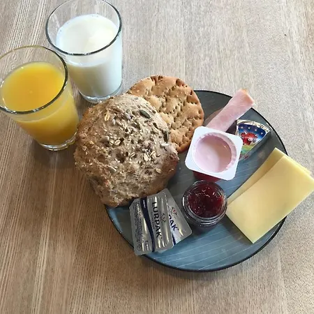 Nilles ベッド・アンド・ブレックファスト Ølgod